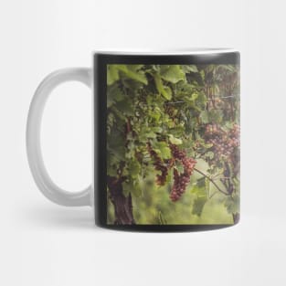 White wine in the vineyard Mug